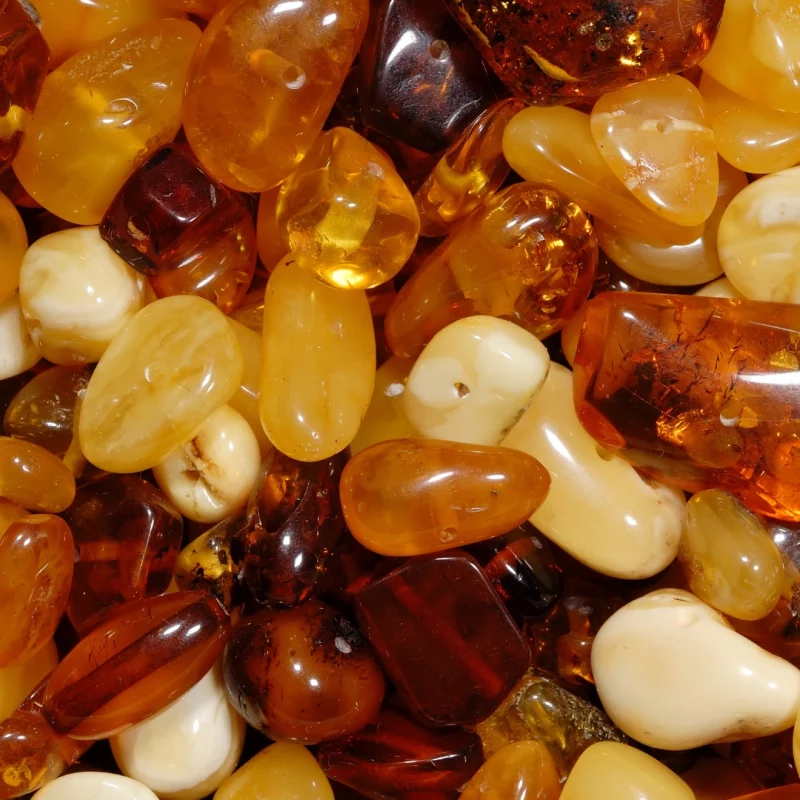 différents types d'ambre