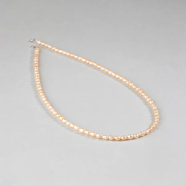 Collier ras de cou en perles de cultures blanches. Photo sur fond blanc