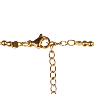 bracelet de cheville photo du fermoir sur fond blanc