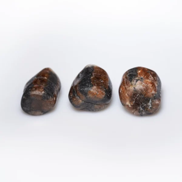 chiastolite pierre roulée photo sur fond blanc