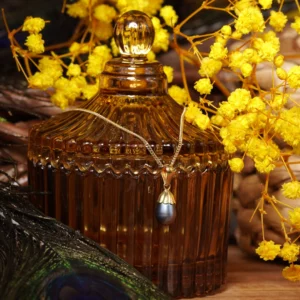 pendentif en perle noire et or, photo avec décors