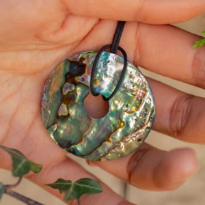 donut pi en coquille d'ormeau, photo dans une main